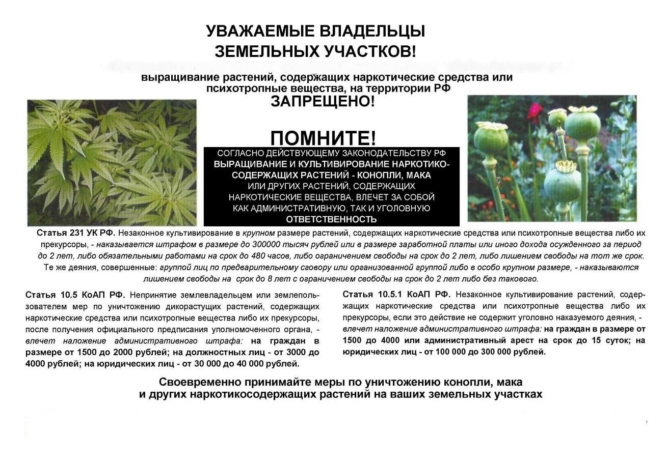 Выращивание растений, содержащих наркотические средства или психотропные вещества, на территории Российской Федерации ЗАПРЕЩЕНО!.